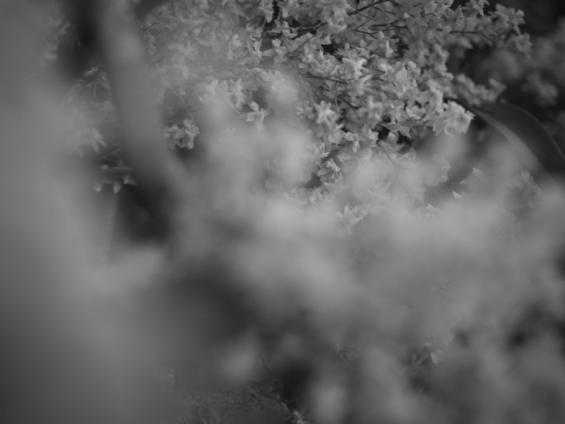 b0122664_1121376.jpg