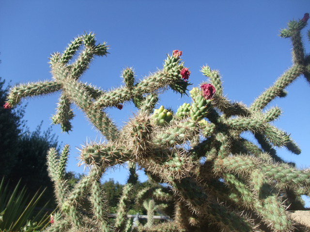 c0115366_15343224.jpg