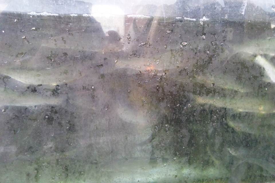 e0151566_20514491.jpg