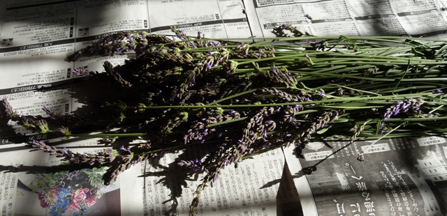e0278968_2320131.jpg