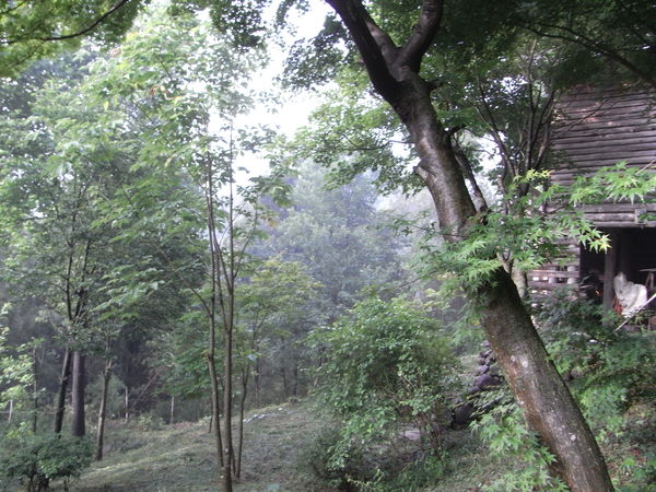 a0146070_6474014.jpg