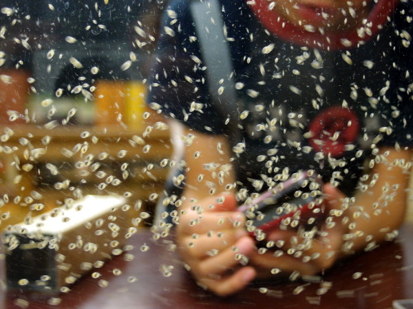 c0122670_9411630.jpg
