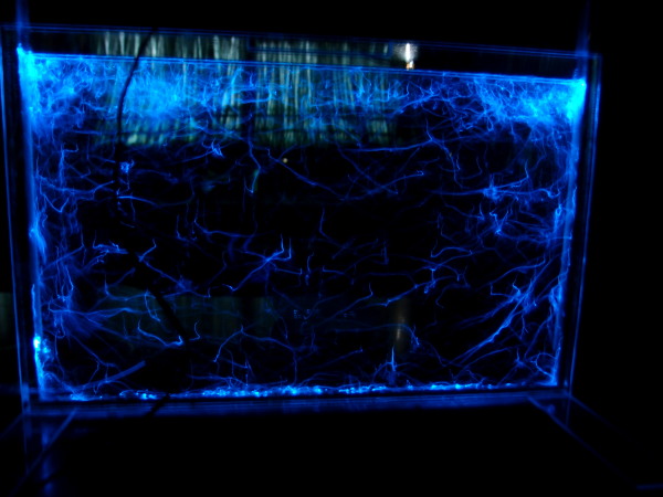c0122670_9413182.jpg