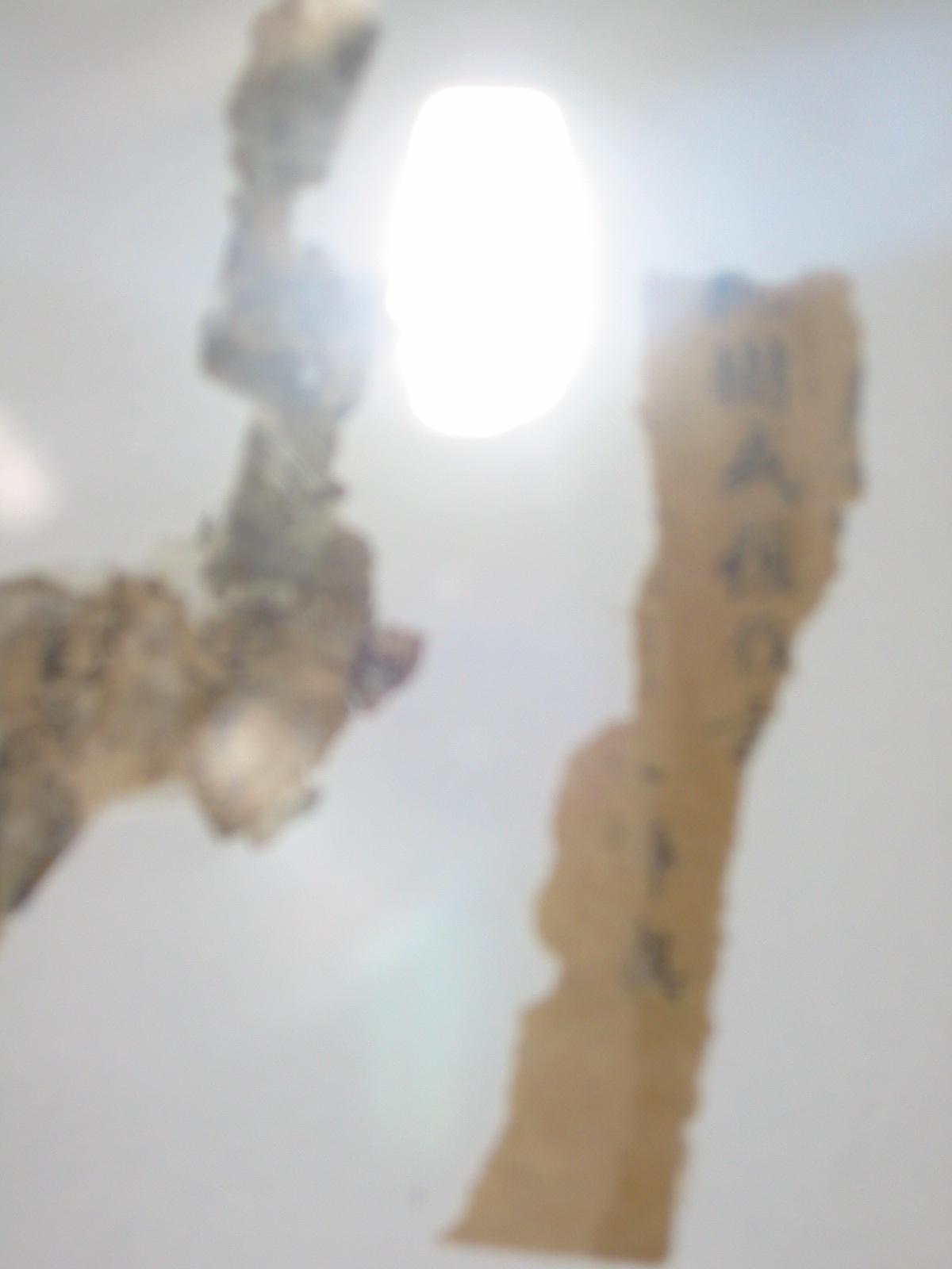 e0013972_166429.jpg