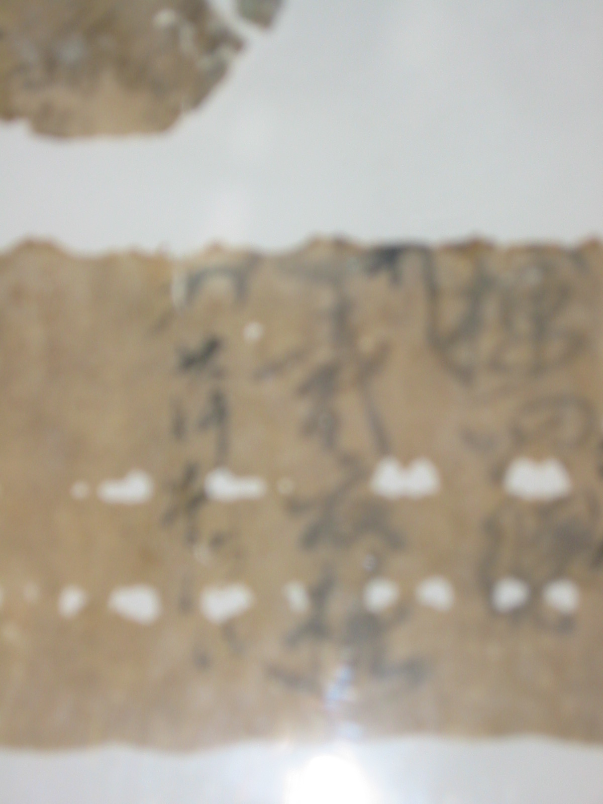 e0013972_167271.jpg