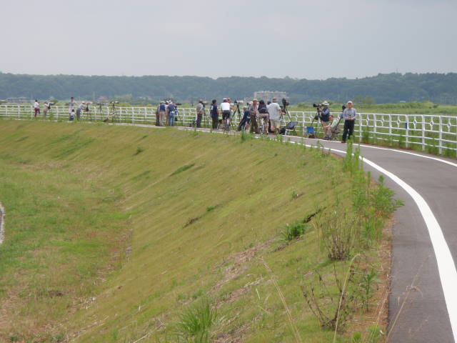 a0113874_1944574.jpg