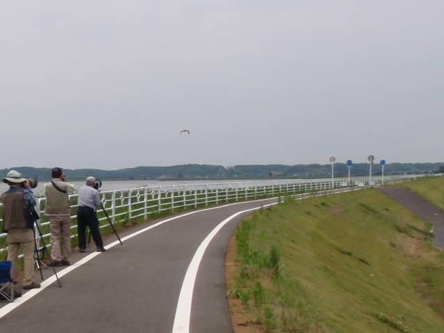 a0113874_2054193.jpg