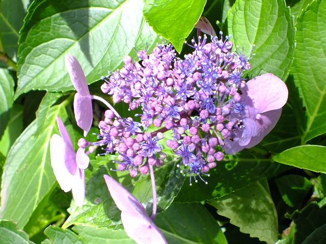e0145782_1901135.jpg