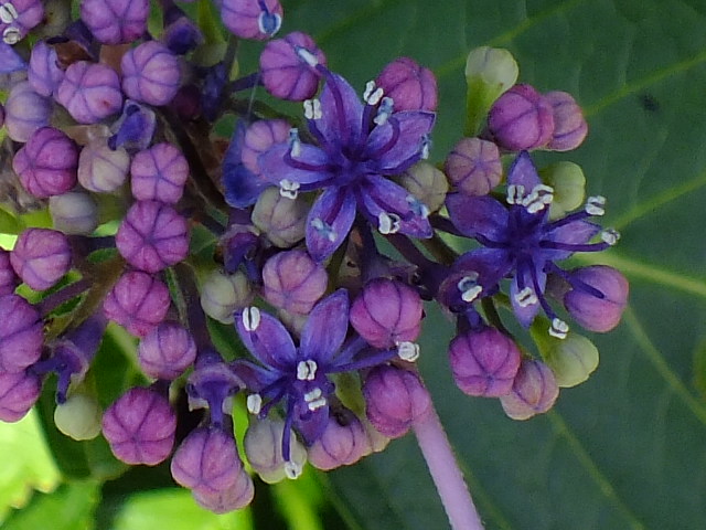 e0145782_1904247.jpg