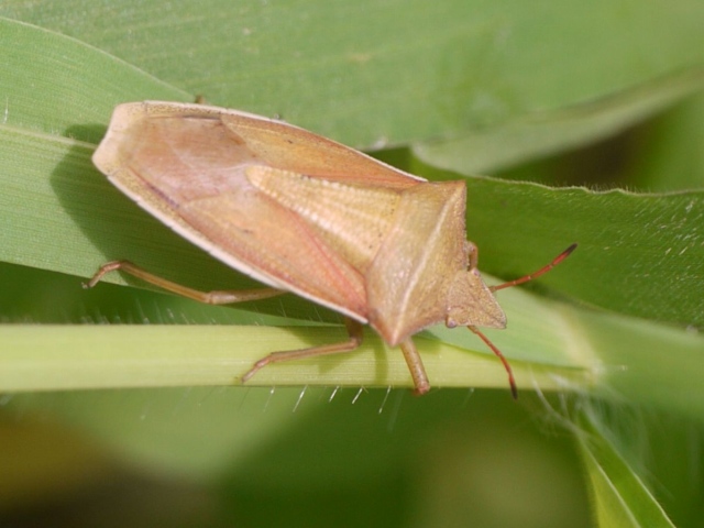 d0088184_21355081.jpg