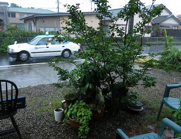 e0130185_1344995.jpg