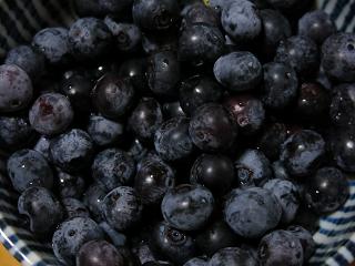 e0130185_1424630.jpg