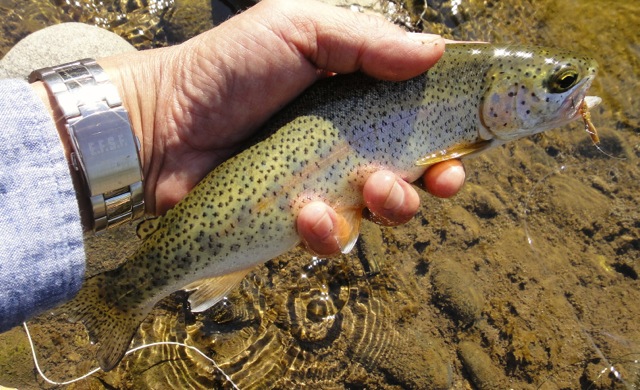 f0141392_2116207.jpg