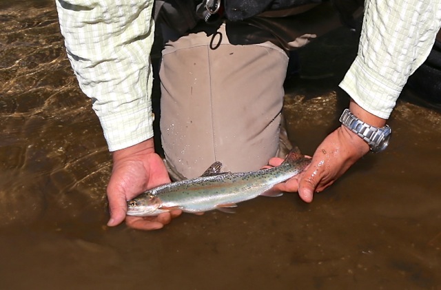 f0141392_21231826.jpg
