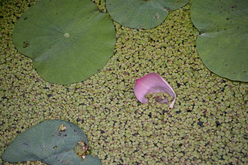 f0224100_2185049.jpg