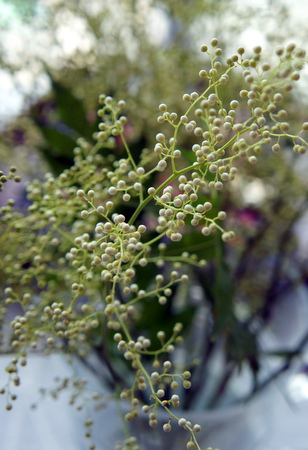 c0148705_1616131.jpg