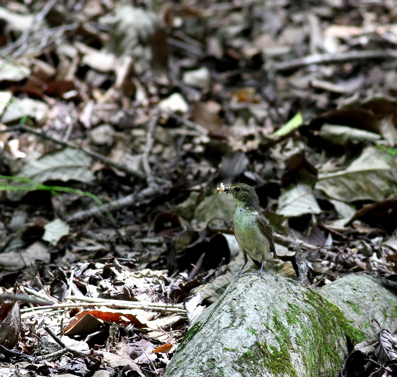 c0213607_2373275.jpg