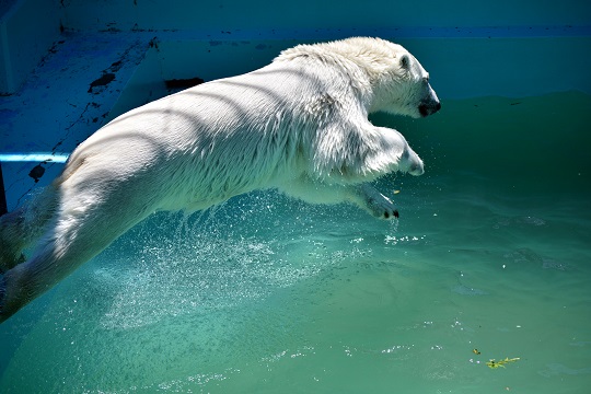 a0151913_2354489.jpg
