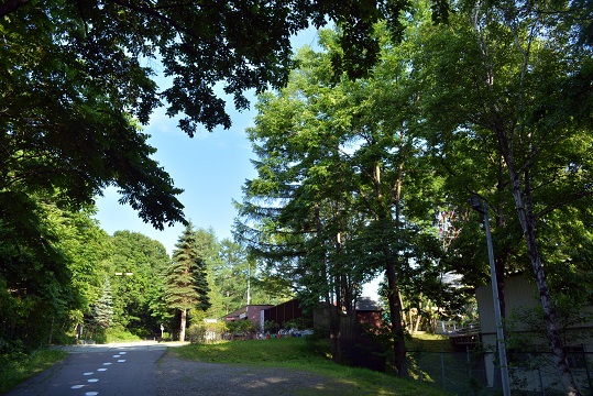 a0151913_23565340.jpg