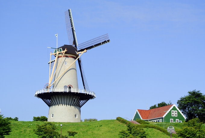 d0179113_11375751.jpg