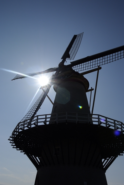 d0179113_11465046.jpg
