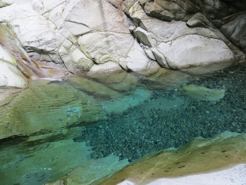 b0121015_15255740.jpg