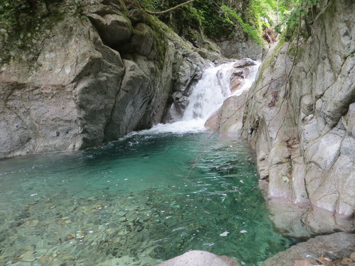 b0121015_15263713.jpg