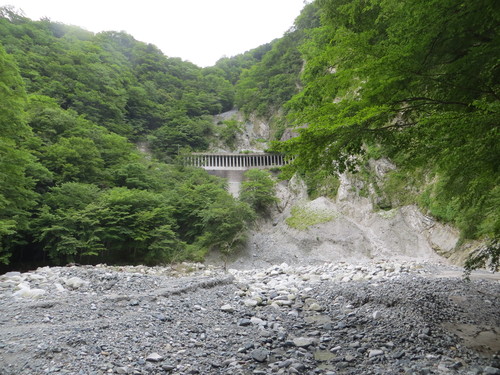 b0121015_15334354.jpg