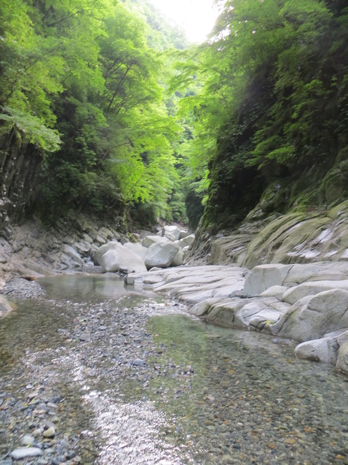 b0121015_1535789.jpg