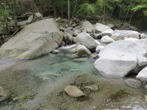 b0121015_22224497.jpg