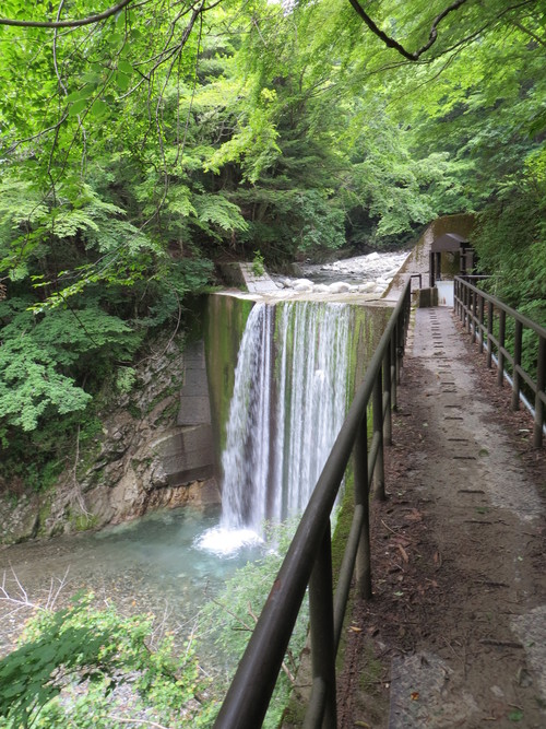 b0121015_2224690.jpg