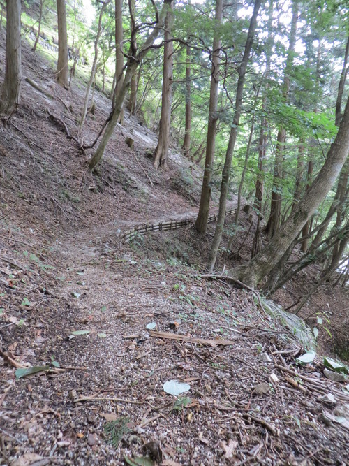 b0121015_2229723.jpg