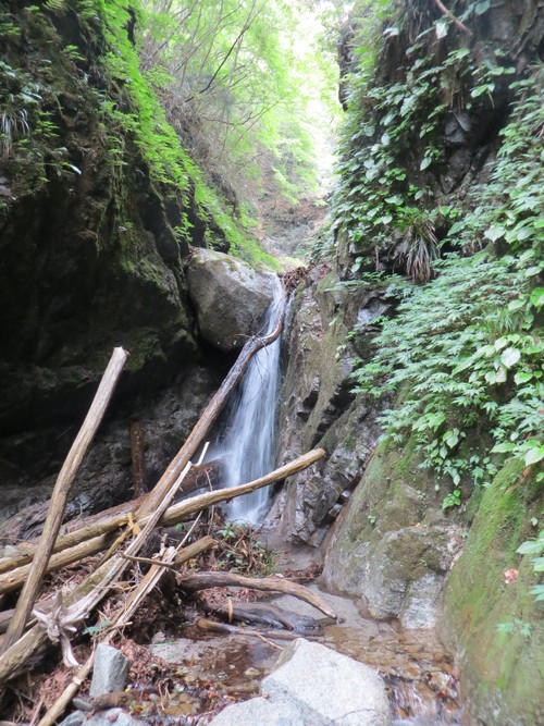 b0121015_22325943.jpg