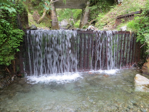 b0121015_22361310.jpg