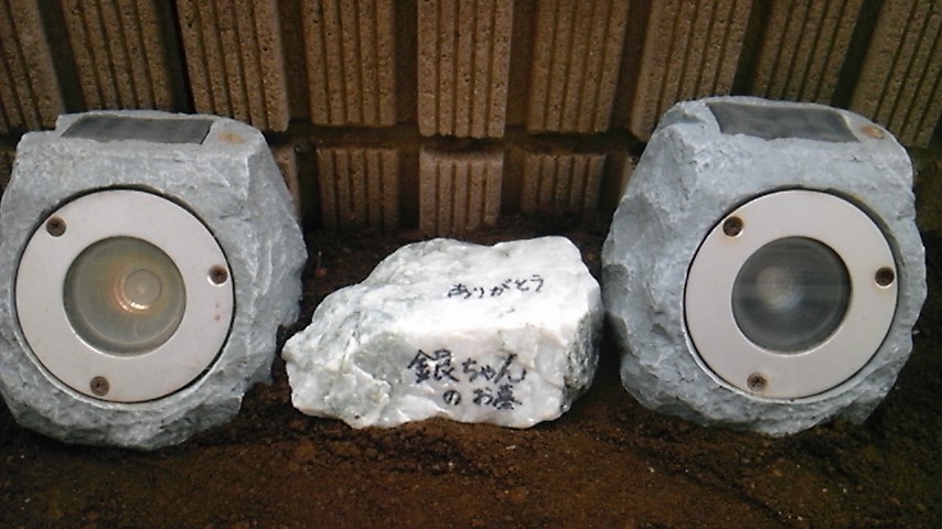 b0080718_1533370.jpg