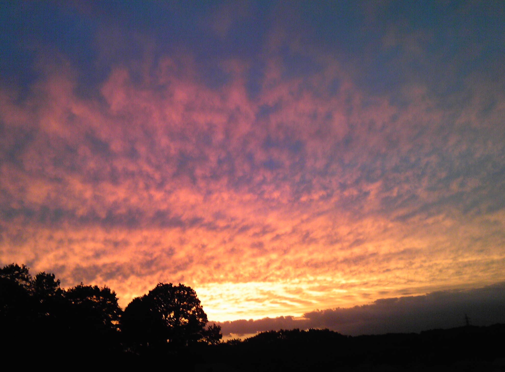 b0285619_10281571.jpg
