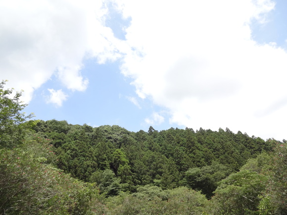 b0223322_13283442.jpg