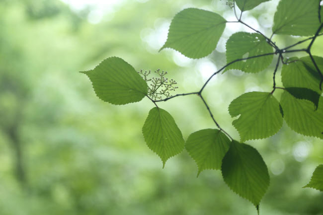 f0017530_20242933.jpg