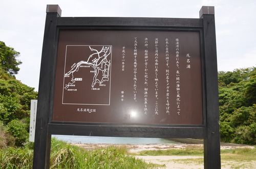 f0124830_1315219.jpg
