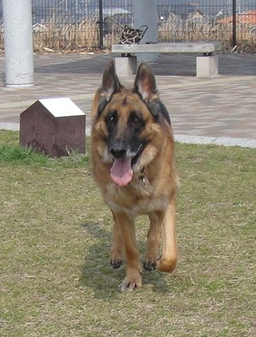 f0088731_213836.jpg
