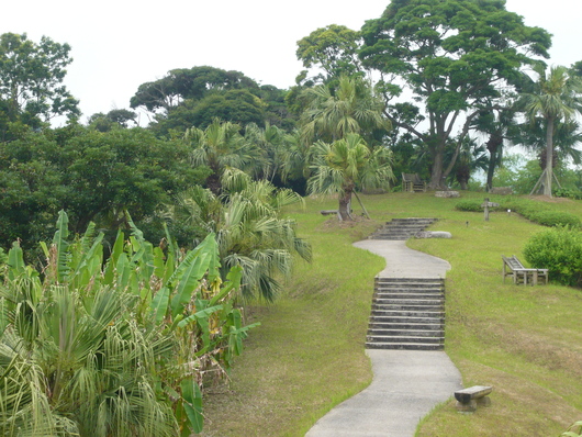 a0206332_821355.jpg