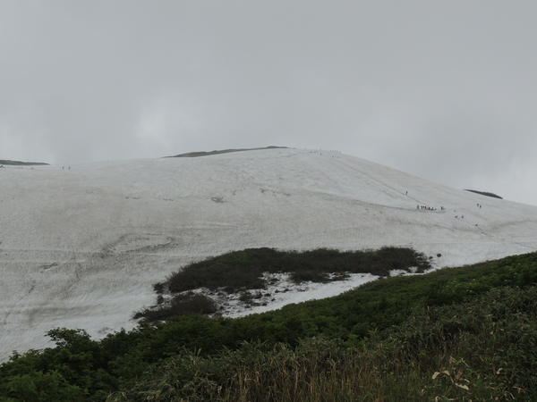 f0118332_22105215.jpg
