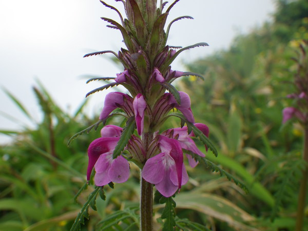 f0118332_22201159.jpg