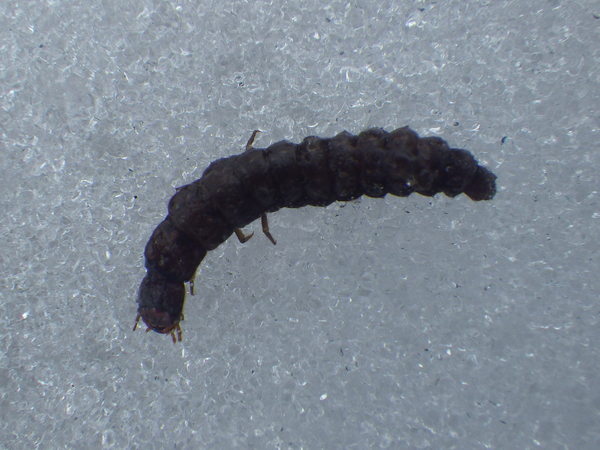 f0118332_22364094.jpg