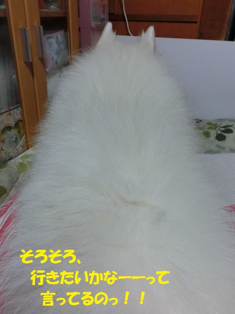 e0196135_2231556.jpg