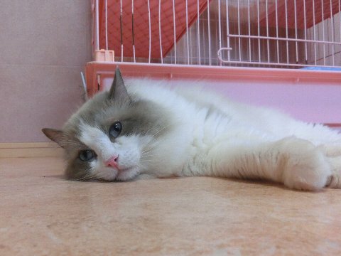 a0062240_0411339.jpg
