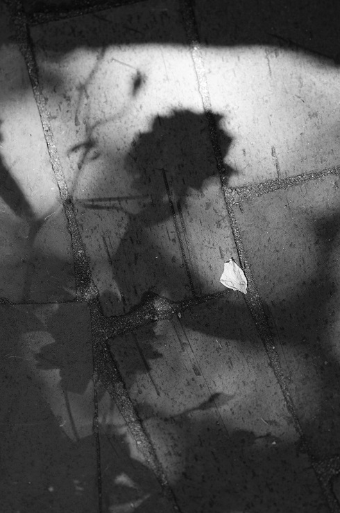 d0165741_13592983.jpg