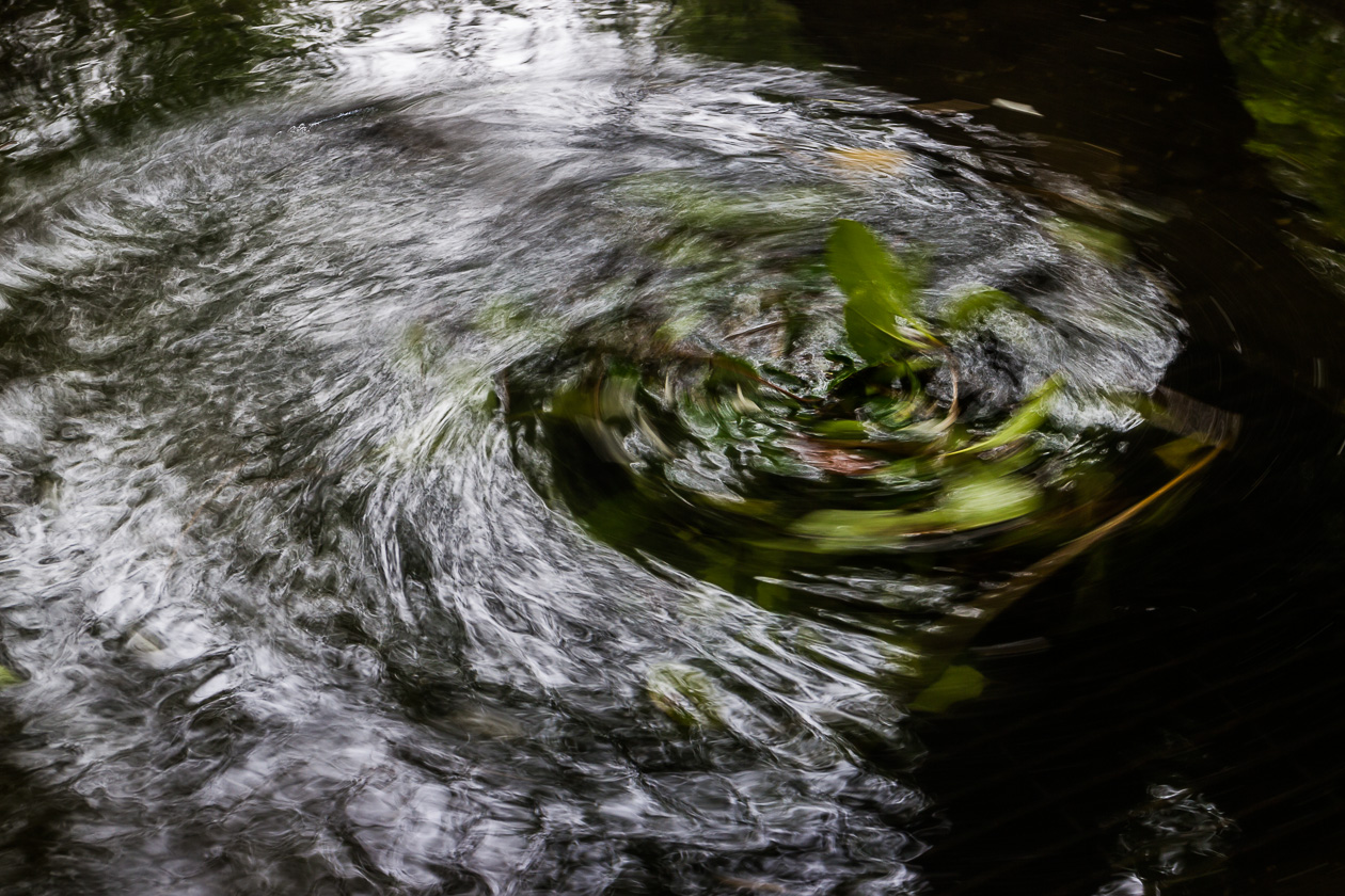 c0147042_8462810.jpg