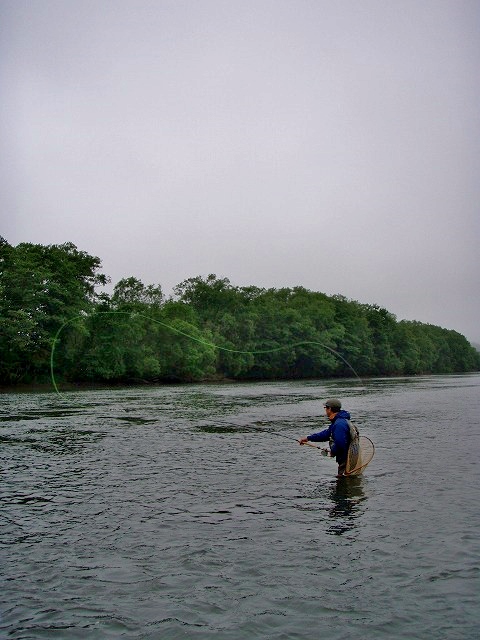 d0075843_19465274.jpg