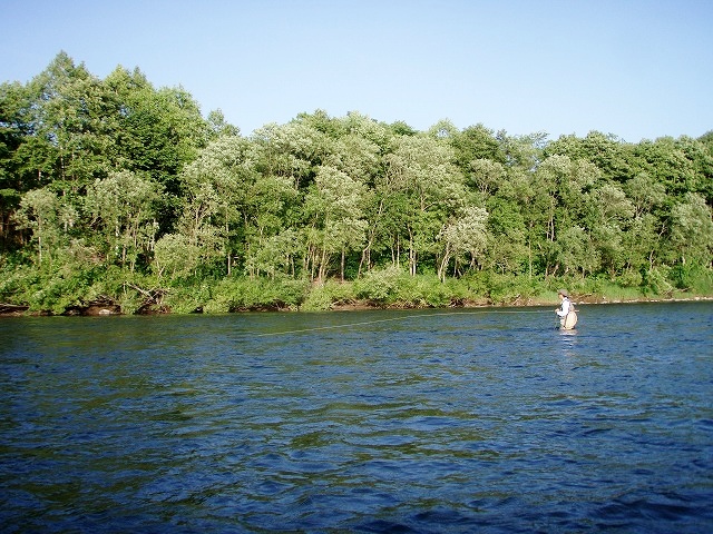 d0075843_19534969.jpg